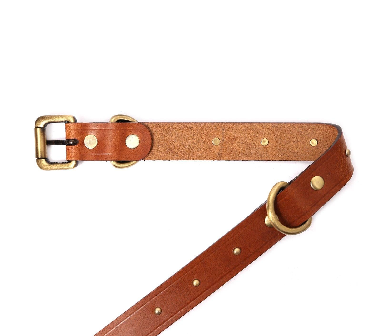 Dog best sale belts online